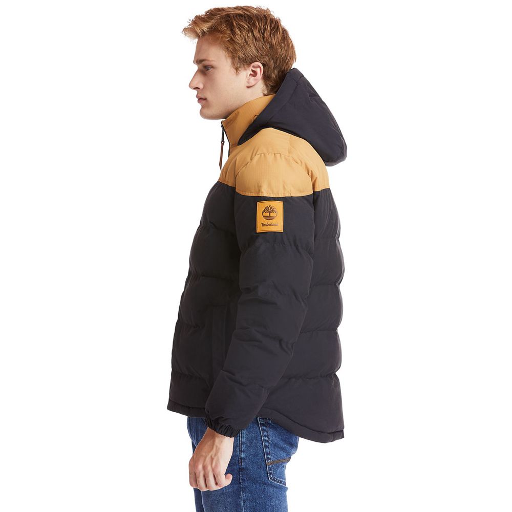 Chaquetas Timberland Hombre Welch Mountain Warm Invierno Marrones/Negras - Chile MPI-372648